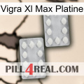 Vigra Xl Max Platinum 17